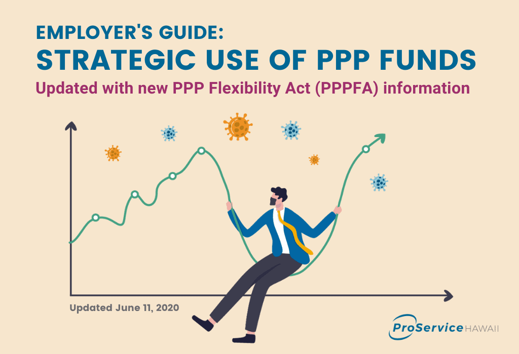 Guide - Strategic Use of PPP Funds