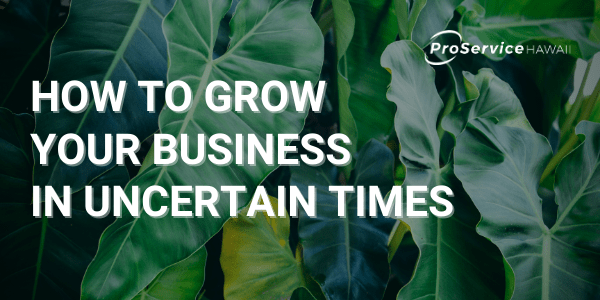 Growing your business