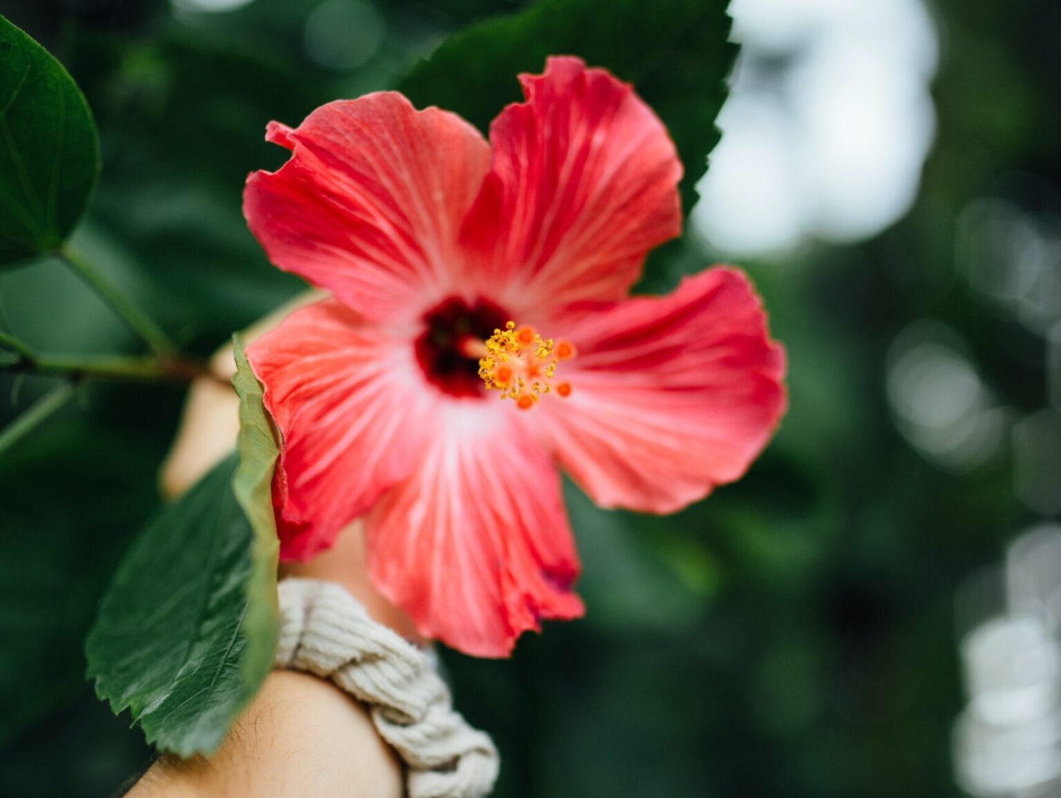 oahu-office-proservice-hawaii