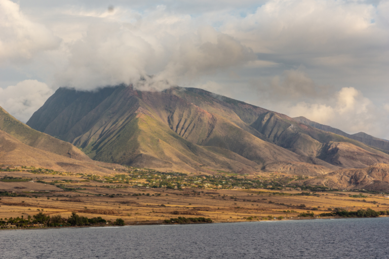 After the Maui Wildfires