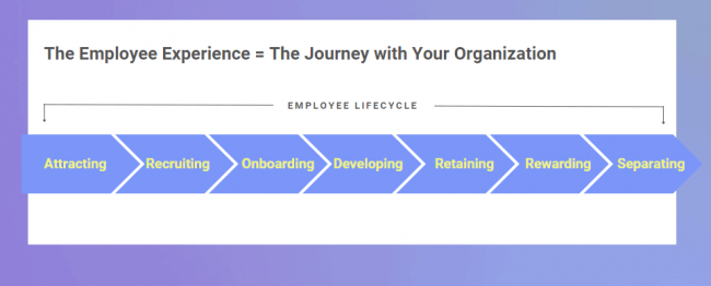Employee Experience